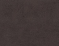 �����  - ����� �����, ��������� ����� 