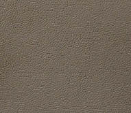 ����� (DOMUS) - ����� �����, ��������� ����� (DOMUS)
