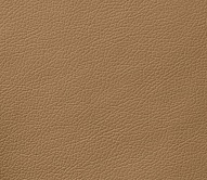 ����� (DOMUS) - ����� ���, ��������� ����� (DOMUS)