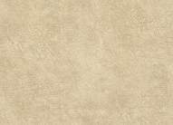 ���� (�������) - ���� 1223-01, ��������� ���� (�������)