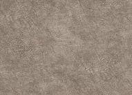 ���� (�������) - ���� 1223-04, ��������� ���� (�������)