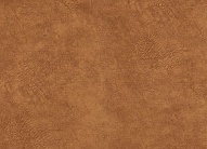 ���� (�������) - ���� 1223-06, ��������� ���� (�������)