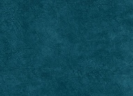 ���� (�������) - ���� 1223-10, ��������� ���� (�������)